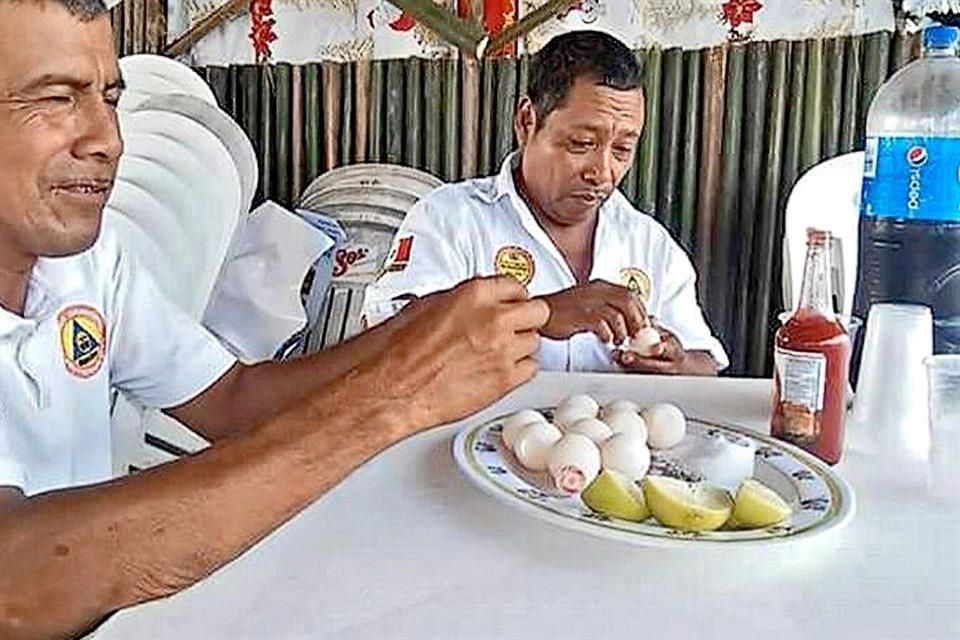 Despiden a funcionarios por comer huevos de tortuga