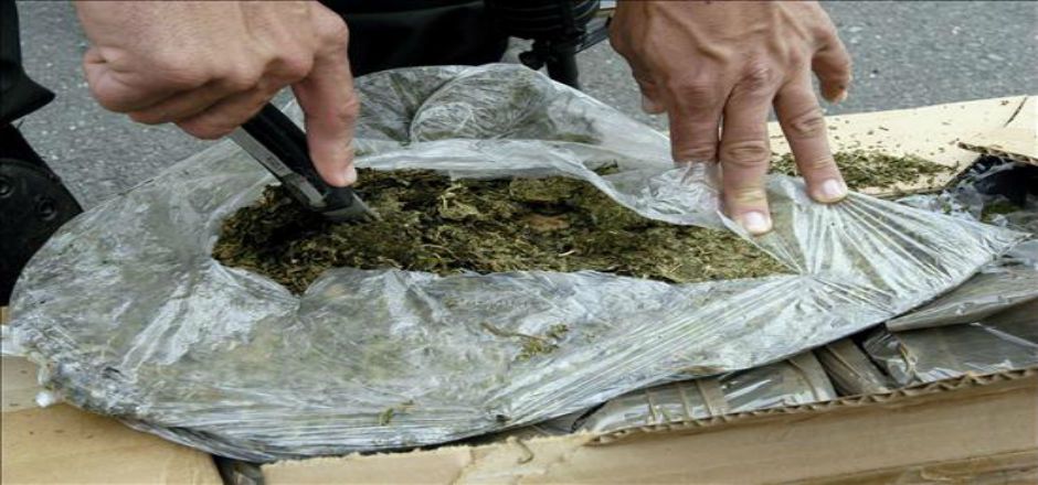 SEDENA asegura 6 mil kilos de mariguana