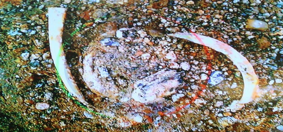 Entre dos y tres meses para identificar restos de Cocula: forenses austriacos Entre dos y tres meses para identificar restos de Cocula: forenses austriacos