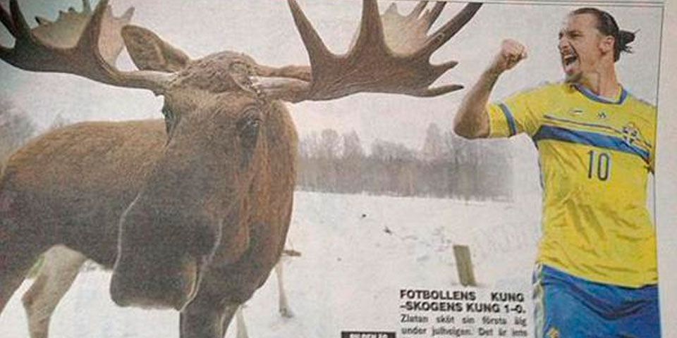 Zlatan caza un alce en sus vacaciones Zlatan caza un alce en sus vacaciones