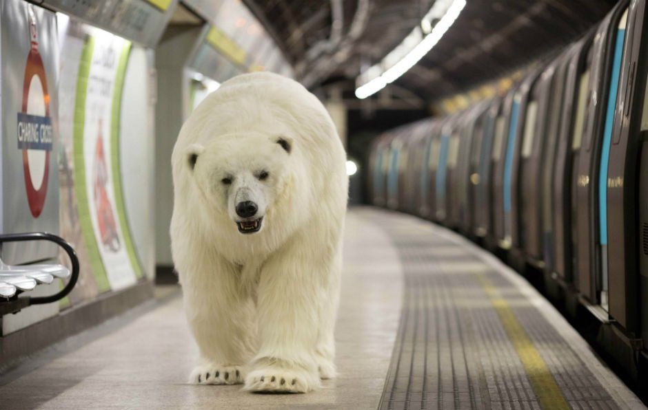 Un oso polar en el metro de Londres