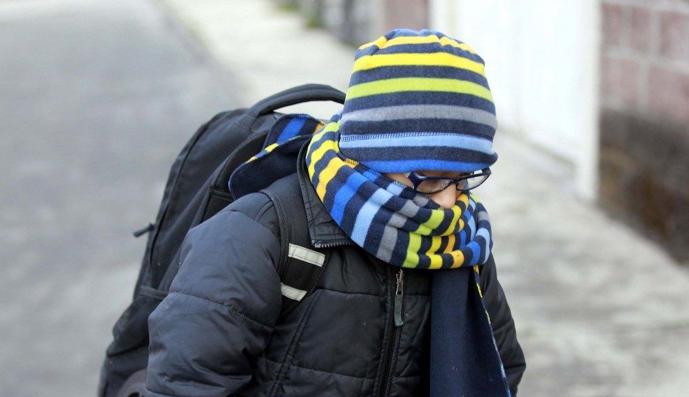 Alerta en Chihuahua por heladas y tolvaneras por frente frío 8