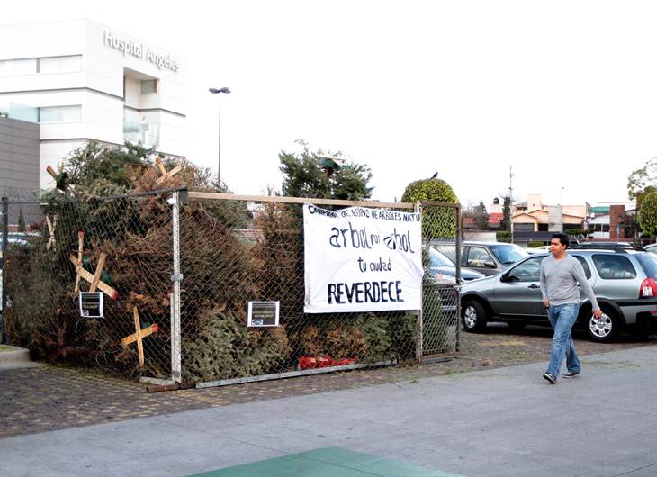 Gobierno del DF invita a canjear árboles de Navidad