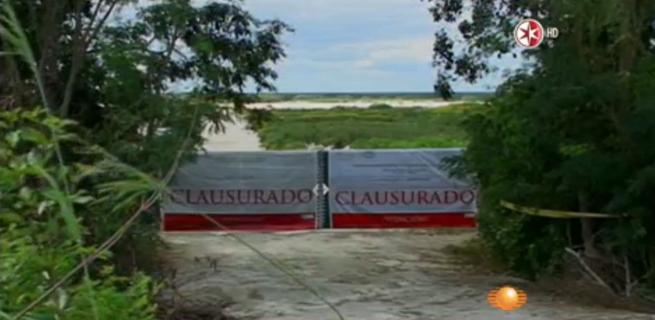 Dragon Mart dañó 149 hectáreas