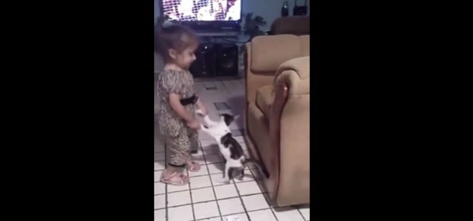 Indigna en Facebook video de niña maltratando a un gato