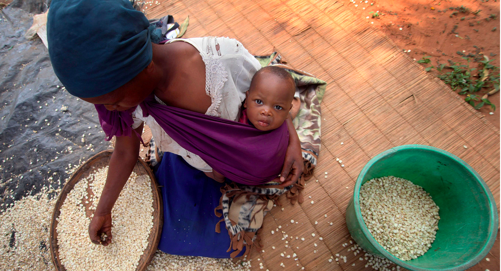 Mueren más por hambre que por guerras: FAO Mueren más por hambre que por guerras: FAO