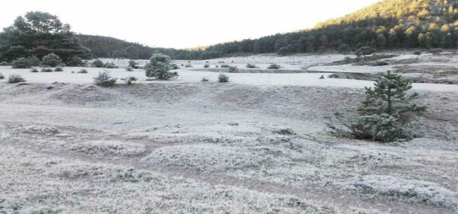 Alerta por heladas en el norte de México