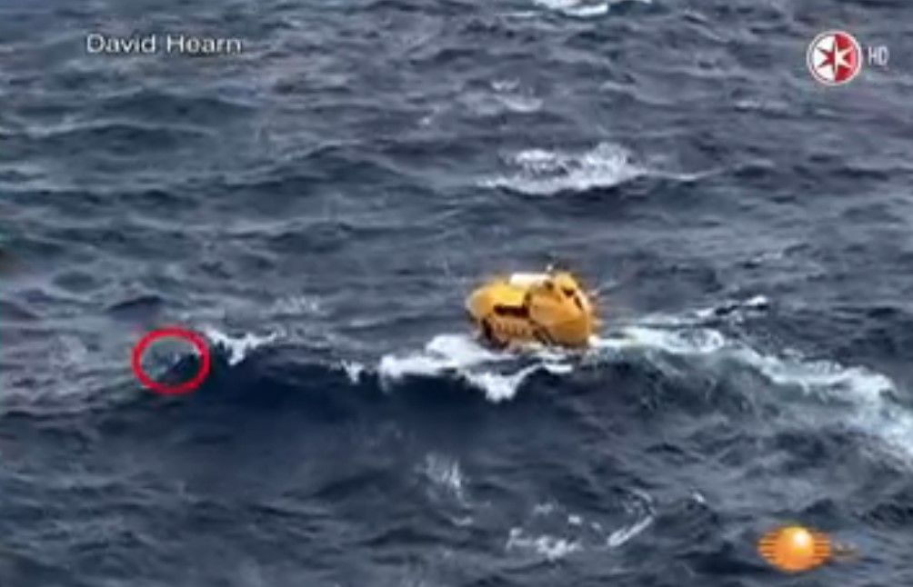 Hombre cae al agua de crucero en Cozumel Hombre cae al agua de crucero en Cozumel