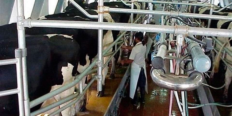 Ganaderos denuncian moches en Liconsa