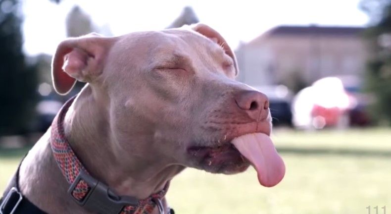 Los mejores videos de YouTube en 7 minutos