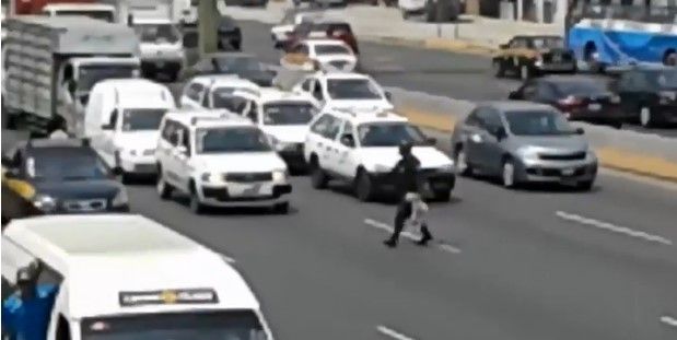 Policía salva a perro atrapado en autopista Policía salva a perro atrapado en autopista