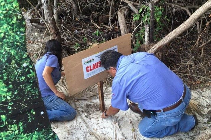Clausura Profepa obra de hotel por daños a manglar
