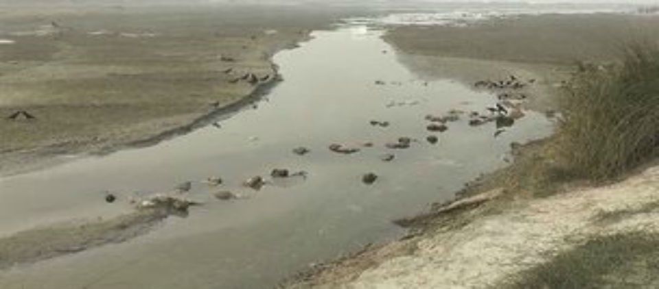 Hallados 102 cuerpos en el Ganges Hallados 102 cuerpos en el Ganges