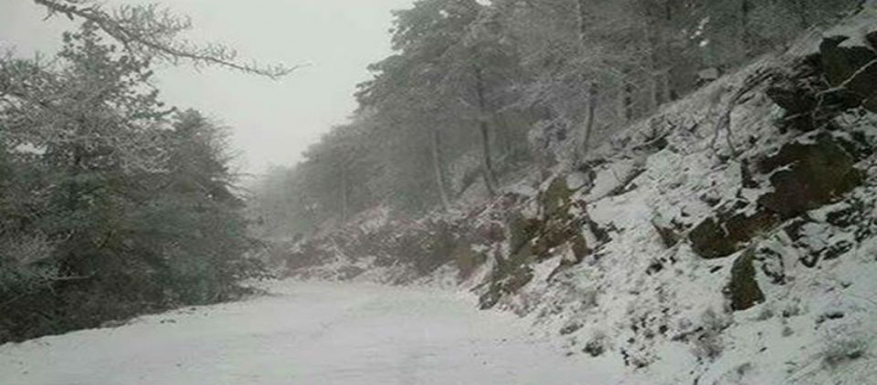 Emiten declaratorias de emergencia extraordinaria para 187 municipios