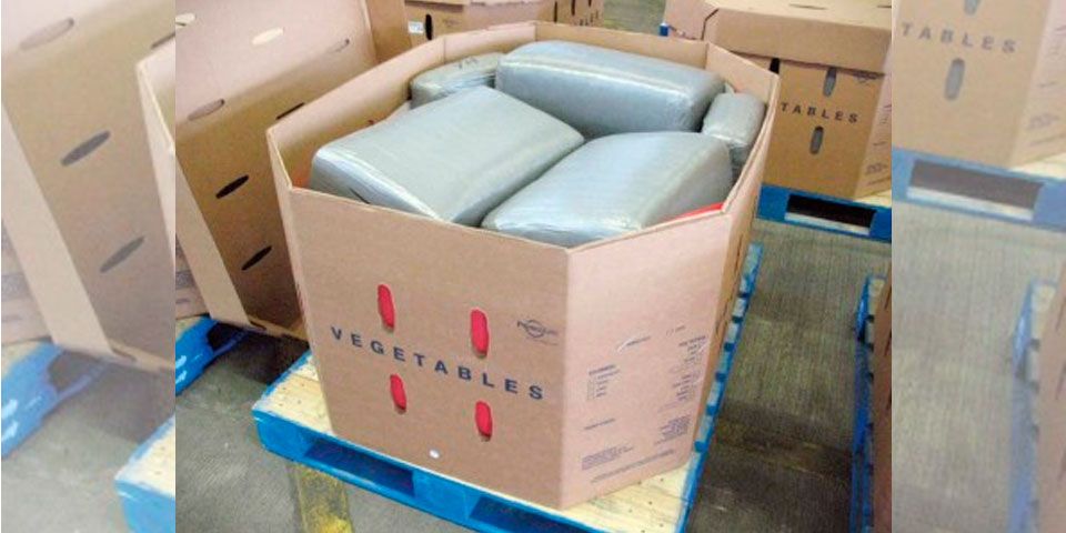 Arrestan a mexicano con una tonelada de mariguana