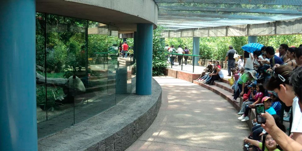 Aseguran más de 4 mil animales en zoológicos del país - zoo_chapultepec1