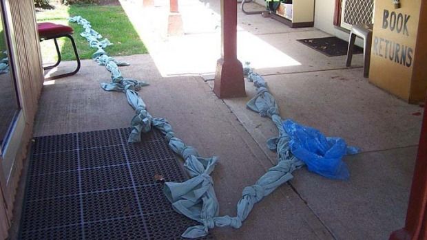 Escapan de reformatorio usando sábanas Escapan de reformatorio usando sábanas