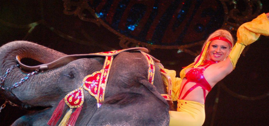 Inicia Circo Atayde gira del adiós al espectáculo con animales