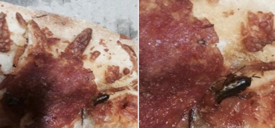 Por plaga de cucarachas cierran Dominos Pizza en Perú