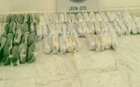 Decomisan droga en empresa de diputado federal