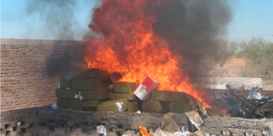 Incineran casi 14 toneladas de droga en Sonora