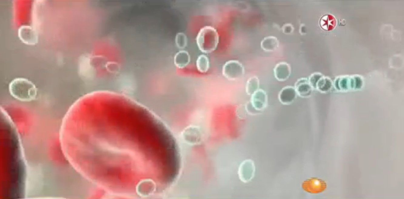 El cáncer, un flagelo para de la salud en México