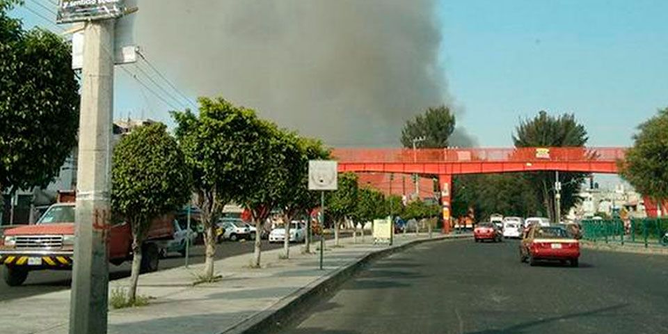 Reportan incendio en predio ecológico de Xochimilco