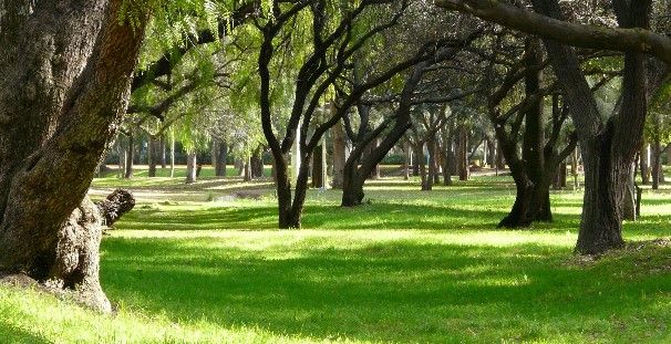 Detienen a 3 por enterrar ilegalmente a un sujeto