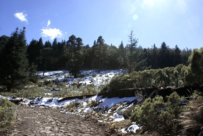 Publica PC declaratoria de emergencia por helada en Perote