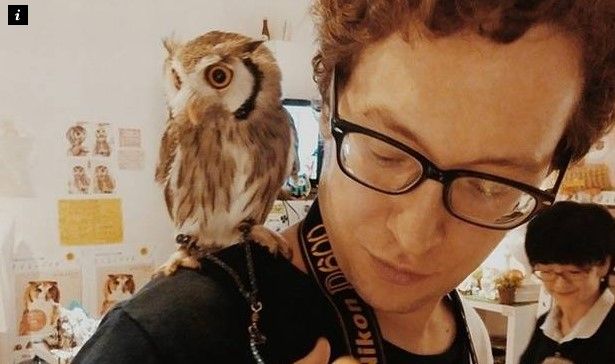 Bar inglés ofrece bebidas y búhos