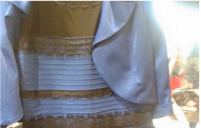 ¿Blanco y dorado o azul y negro?