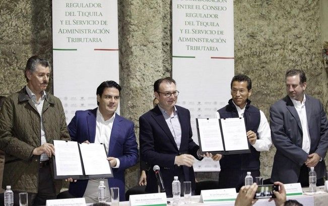SHCP y Consejo del Tequila frenarán venta ilegal de bebidas alcohólicas
