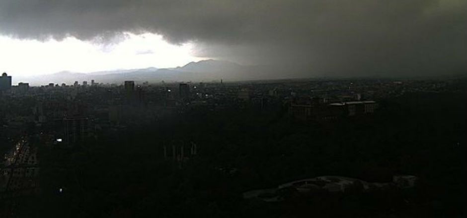 Reportan caída de árboles en el DF