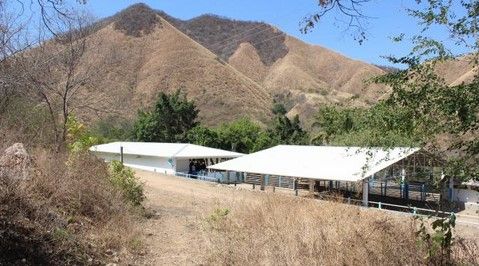 Encuentran escondites de “La Tuta” en Michoacán