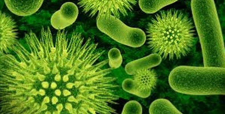 Infecciones por ‘Superbacteria’ aumentan en EE.UU. Infecciones por ‘Superbacteria’ aumentan en EE.UU.