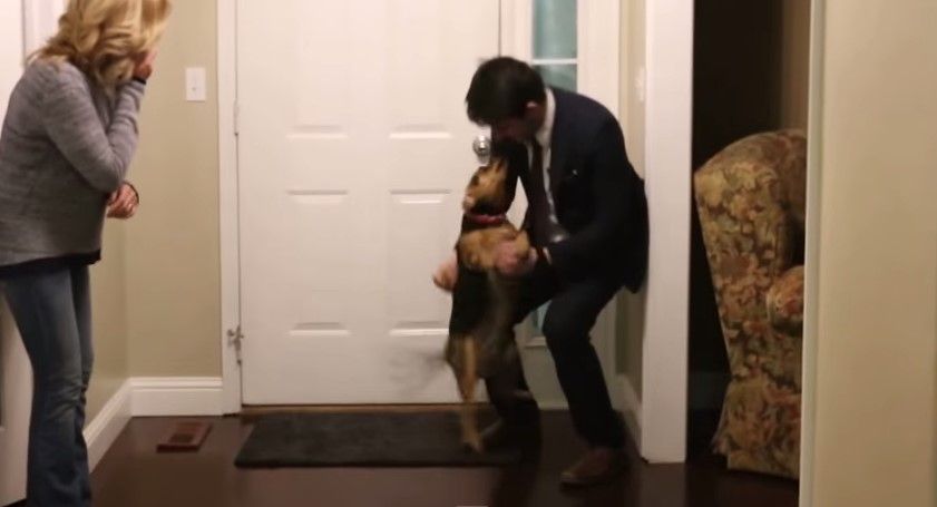 Emotiva bienvenida de un perro a su dueño tras 2 años sin verlo