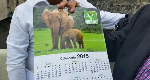 INE prohíbe distribución de calendarios del PVEM