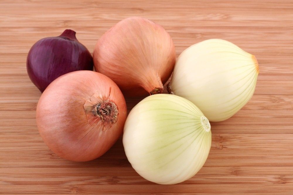 Kilo de aguacate sube hasta en 75 pesos - cebolla1