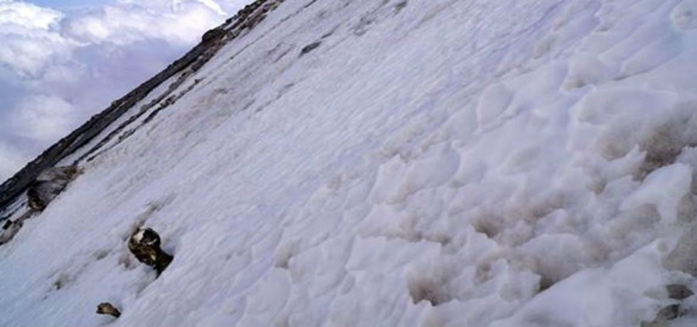 Nieve vuelve a sepultar cuerpos en el Pico de Orizaba Nieve vuelve a sepultar cuerpos en el Pico de Orizaba