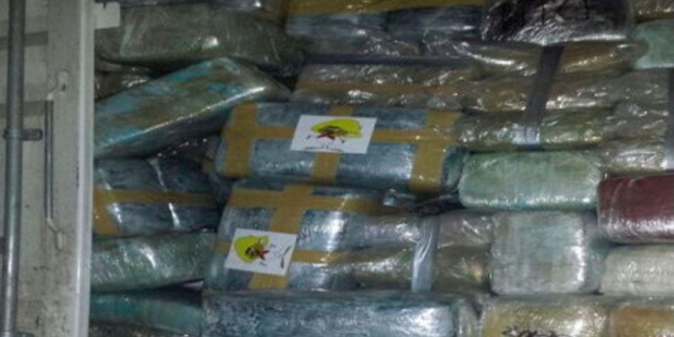 Decomisan más de 8 toneladas de mariguana en Tijuana