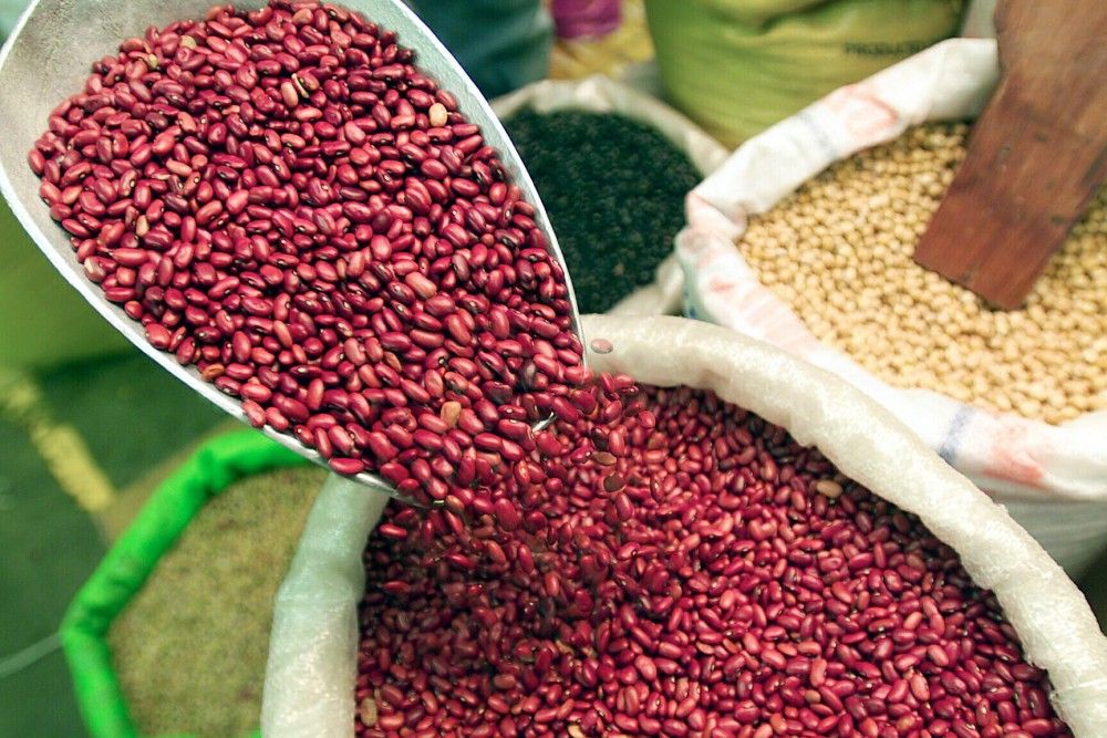 El frijol combate diabetes y colesterol alto