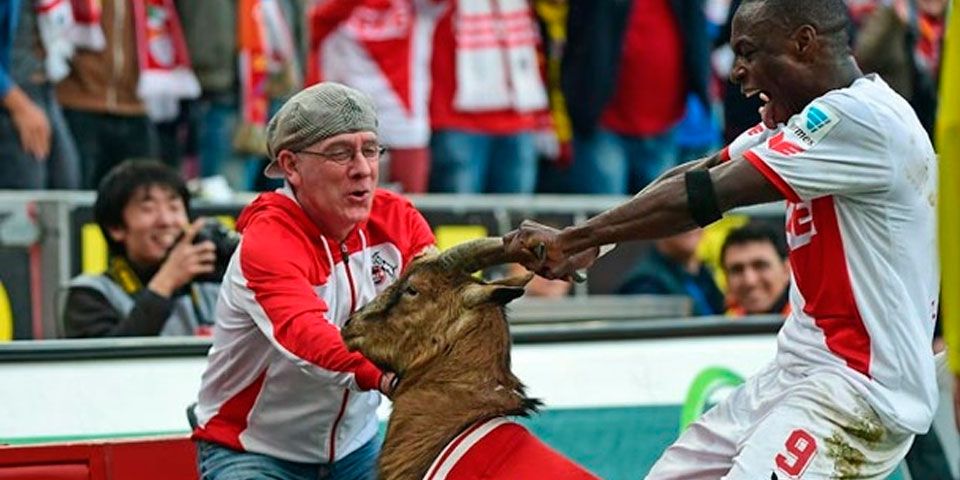 Polémico festejo con una cabra