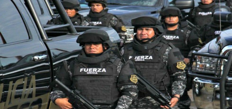 Aseguran granja en Ocotlán