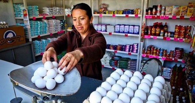 Revisan alternativas ante subida del precio del huevo