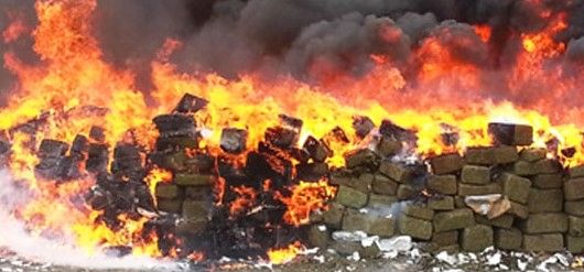 Incineran más de 22 toneladas de droga en Tamaulipas