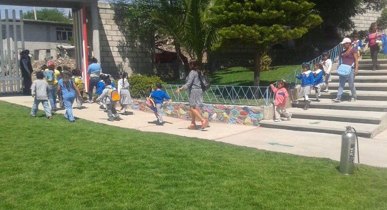 Evacuan a 75 niños por enjambre de abeja