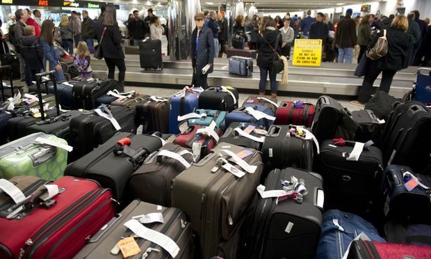 Encuentran a perro chihuahueño en maleta