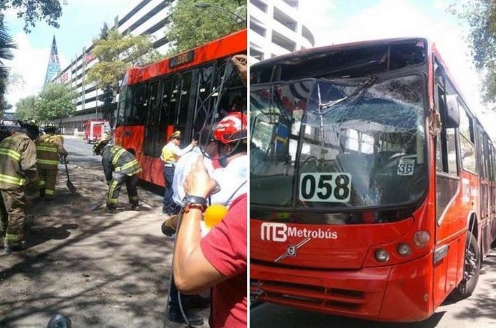 Cae árbol encima de Metrobús Cae árbol encima de Metrobús