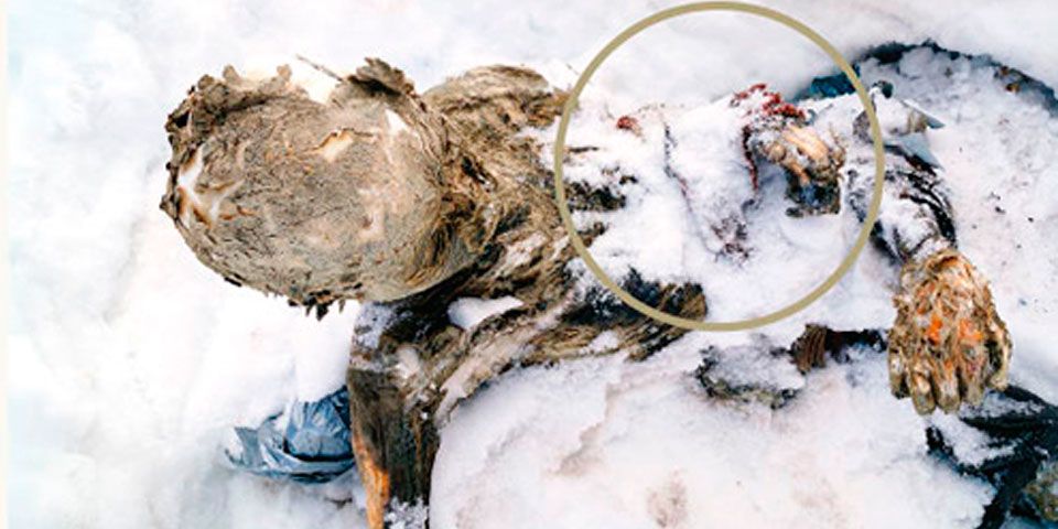 Trozo de tela confirmaría identidad de cuerpos de Orizaba