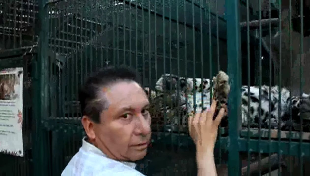 Construirán zoológico para sustituir al “Club de los Animalitos”